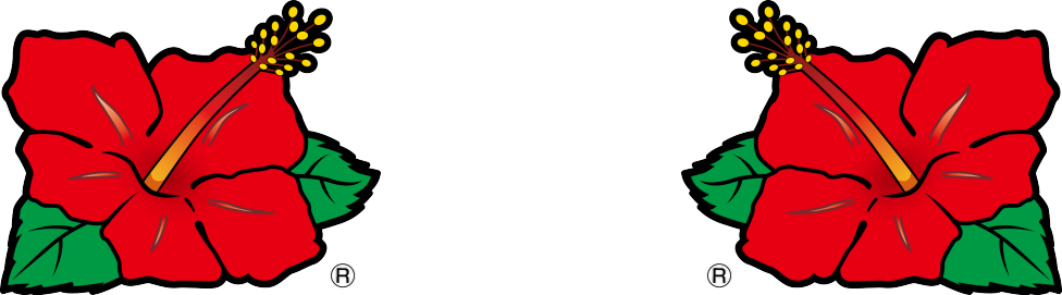 キングハナハナ-30(2023年)のハイビスカス切り抜き画像